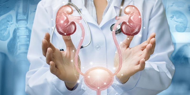 httpwww.iatrikidiagnosi.grurinary-tract-infection